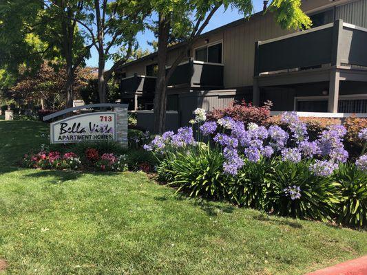 Bella Vista Apartments