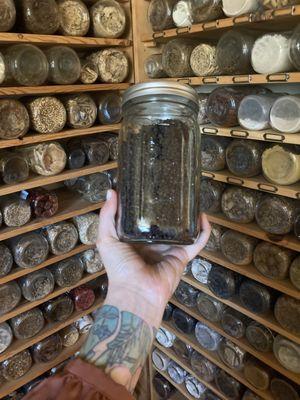 Coyote Herbs and Acupuncture