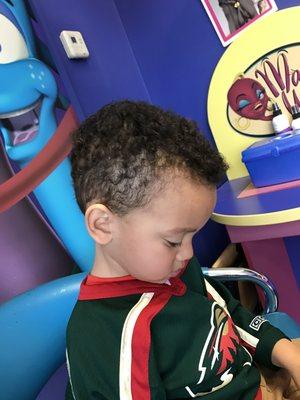 They did a great job! So patient considering how much he really disliked those clippers where he couldn't see them!