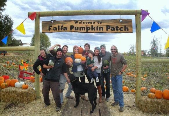 Falfa Pumpkin Patch