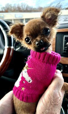 Bull City Veterinary Hospital