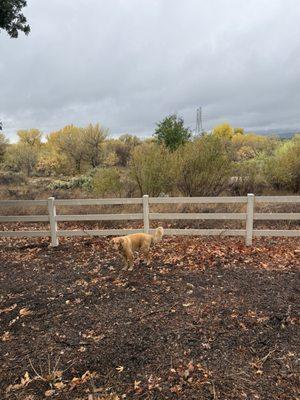San Francisquito Creek Trail