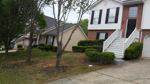 In-Shape Lawn Service