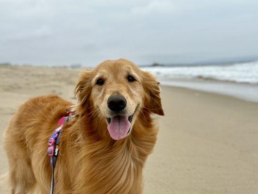 Santa Monica State Beach