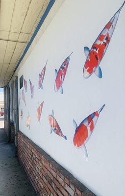 Fish City Koi & Tropical Fish