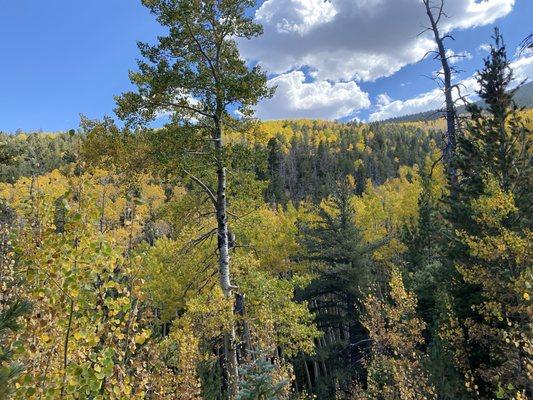 Abineau-Bear Jaw Loop