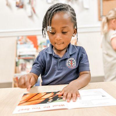 The Gardner School of Central Park