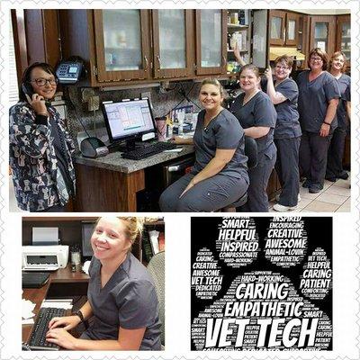 New Carlisle Animal Clinic