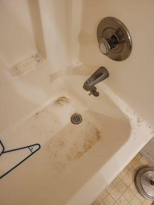 The Housekeeping Man