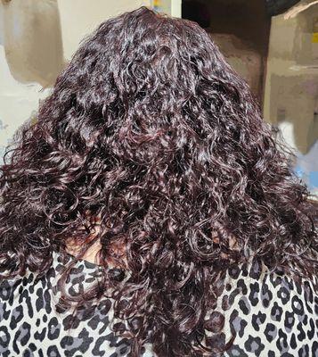 Precision 6 Hairstyling