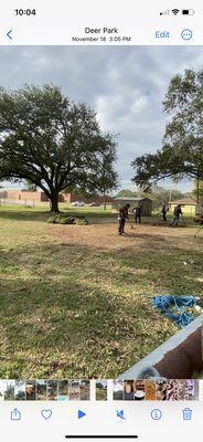 Monster Tree Service of Texas Gulf Coast