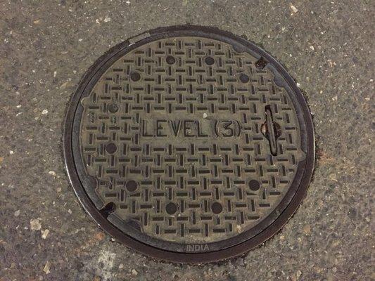 See this in middle of the street.