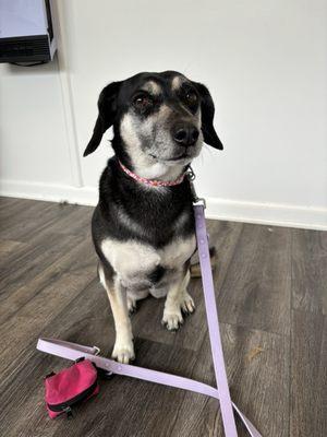 Kait’s Grooming Gallery