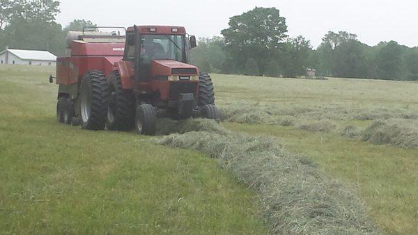 Tanglewood Farms