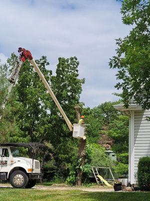 D&J's Complete Tree Service