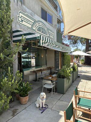 Gorgeous space, pet friendly!