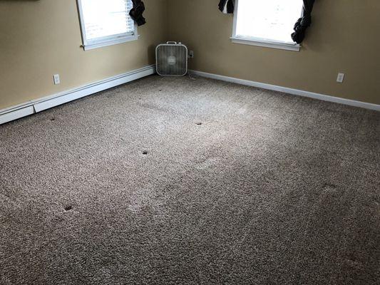 Castor & Son Professional Maintenance