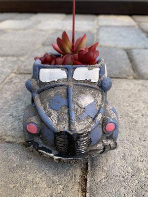 This is what we purchased!! Super cute!!! My three year old son picked out the car and succulent. It was a fun experience.