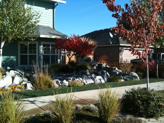 Natural Systems Landscape