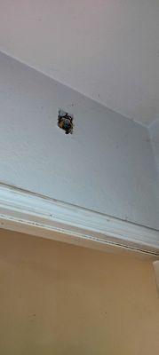 Exposed wires never been fixed