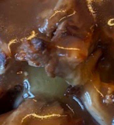 I waited 40 minutes for my food because the cook was playing with an RC car in the alley by the restaurant This Place is an Absolute Joke