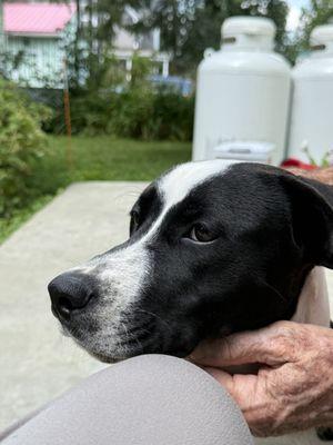 A very clean Jersey!