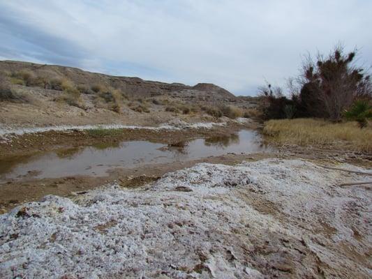Shoshone Wetlands Hiking Trail