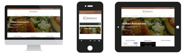Responsive Mobile Friendly Web Design.