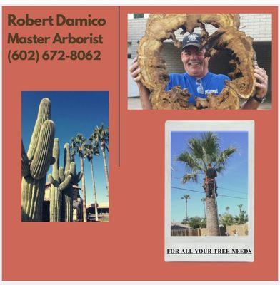 Robert Damico Master Arborist