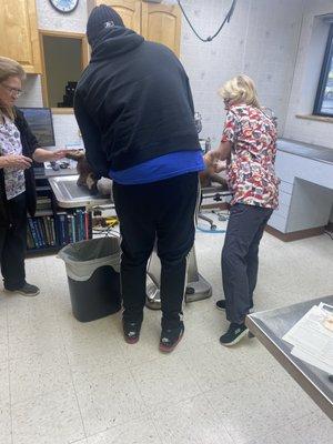 Beachland Animal Hospital