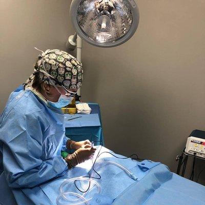 Veterinary Specialists of Hanover