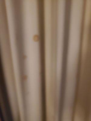 Dirty, spotted curtains