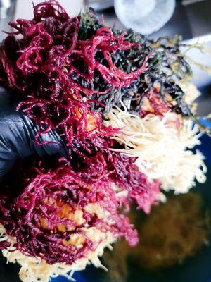 92 of 102 minerals you need to stay sturdy!!!