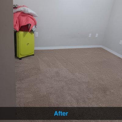 Chaney's residential & Commercial cleaning services