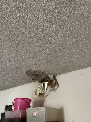 Hole from tree they would not tarp water coming