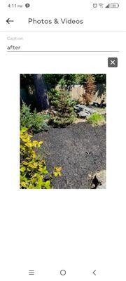 Green Thumbs Landscaping