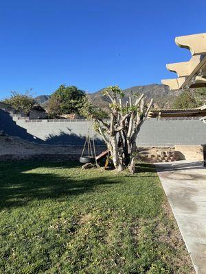 Fernando's Tree Services