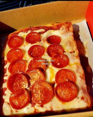 Pepperoni Pizza - Slices Micro Pizzeria Vending Macine. April 2024