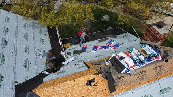 Dustin Rhoades Element