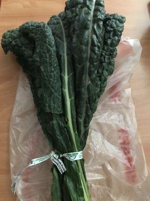 Lacinato Kale