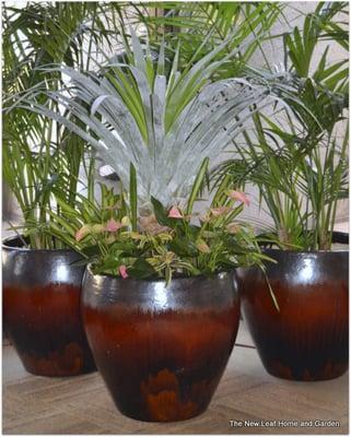 New Leaf House & Garden