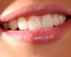 Marjorie B. Leof, DMD