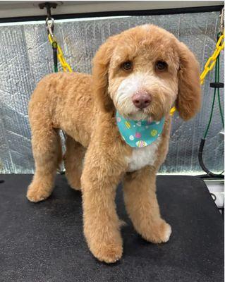 Beautiful cut! Call/Text 713-635-9943 for more information.