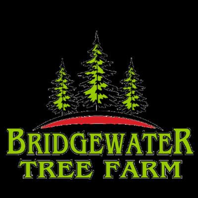 Bridgewater Tree Farm
