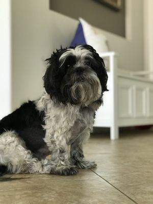 Irvine Animal Care Center