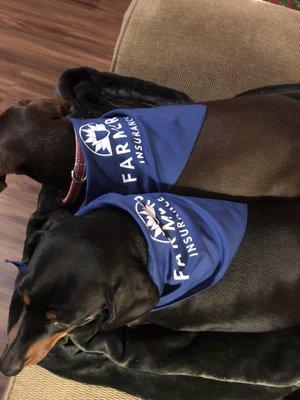 Get your FREE Pet Insurance quote today!