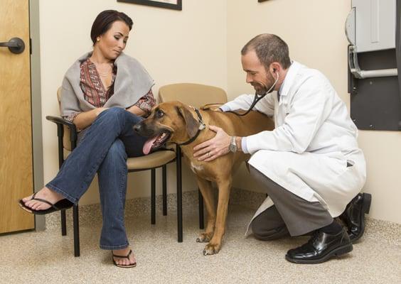 Leesburg Veterinary Hospital