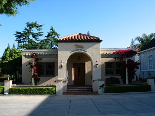 Dermatology for Animals - Campbell