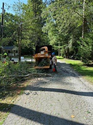 Best Cut Tree Service And Landscaping