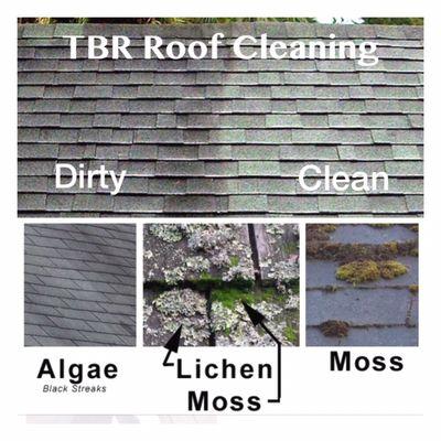 TBR Roof Cleaning WNY
